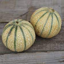 Melon charentais (9.0-1.250.gr) piece