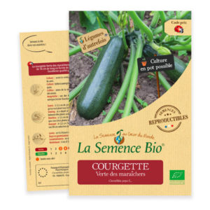 semence courgette