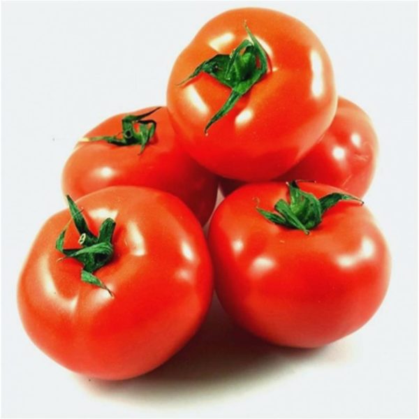 Tomate ronde